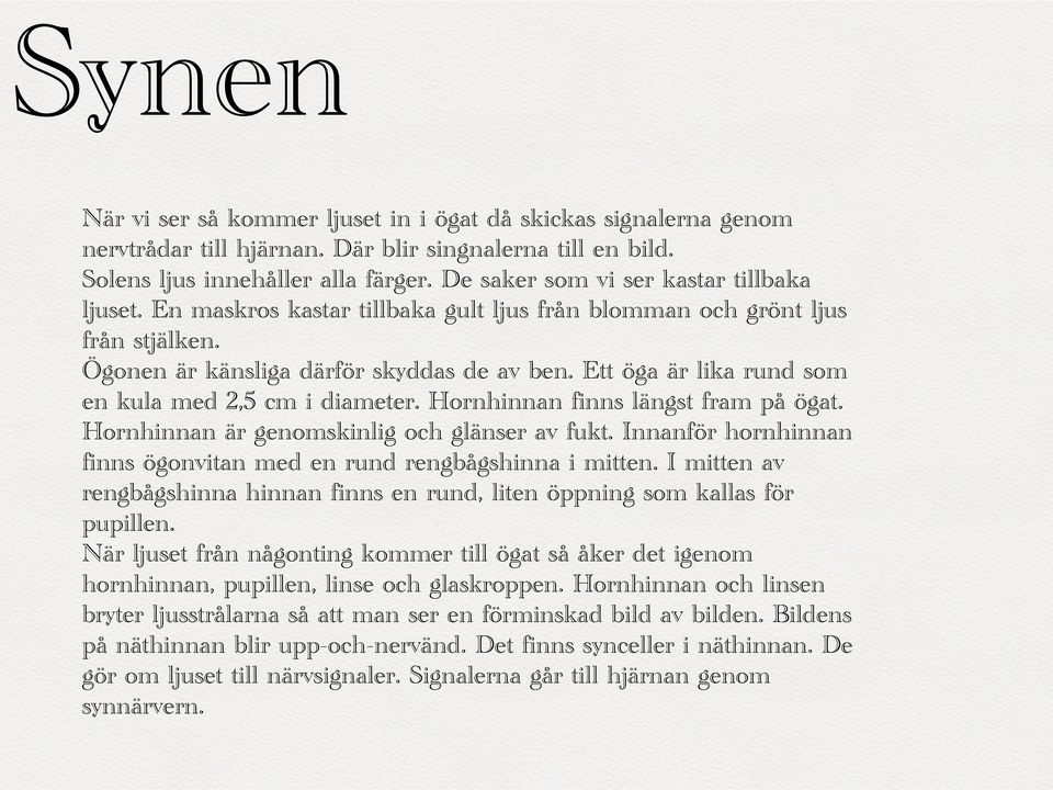 Ett öga är lika rund som en kula med 2,5 cm i diameter. Hornhinnan finns längst fram på ögat. Hornhinnan är genomskinlig och glänser av fukt.