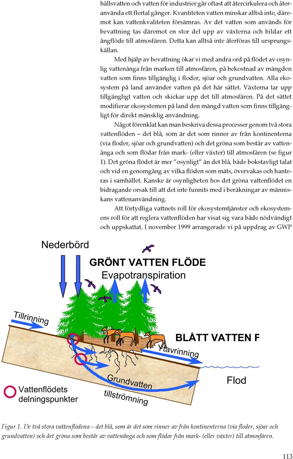 Med hjälp av bevattning ökar vi med andra ord på flödet av osynlig vattenånga från marken till atmosfären, på bekostnad av mängden vatten som finns tillgänglig i floder, sjöar och grundvatten.