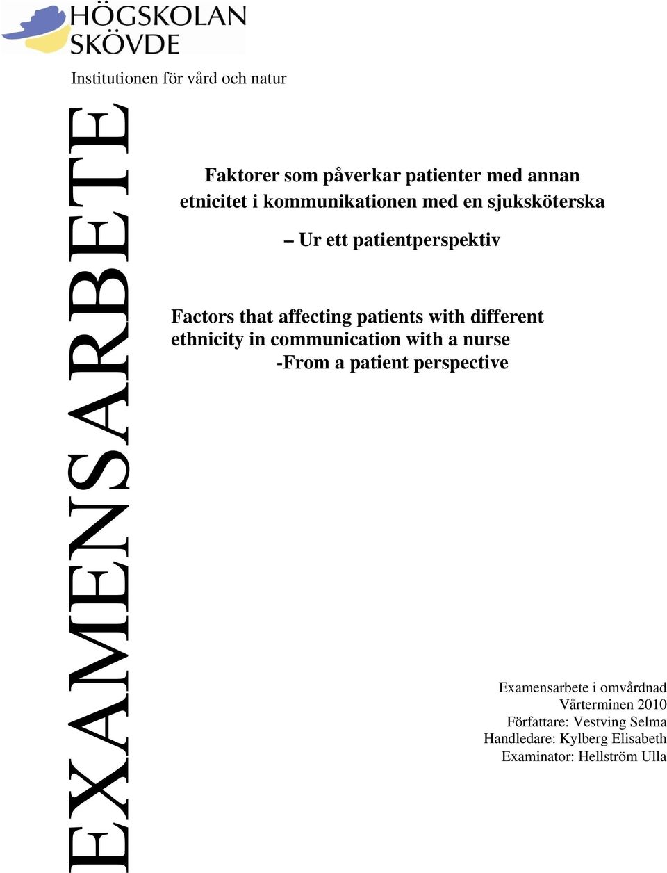 with different ethnicity in communication with a nurse -From a patient perspective Examensarbete