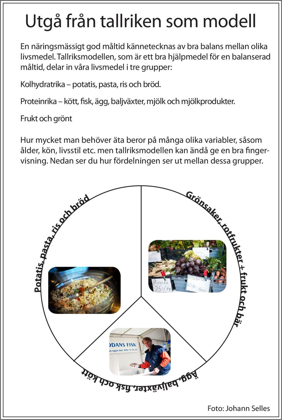 Proteinrika kött, fisk, ägg, baljväxter, mjölk och mjölkprodukter.