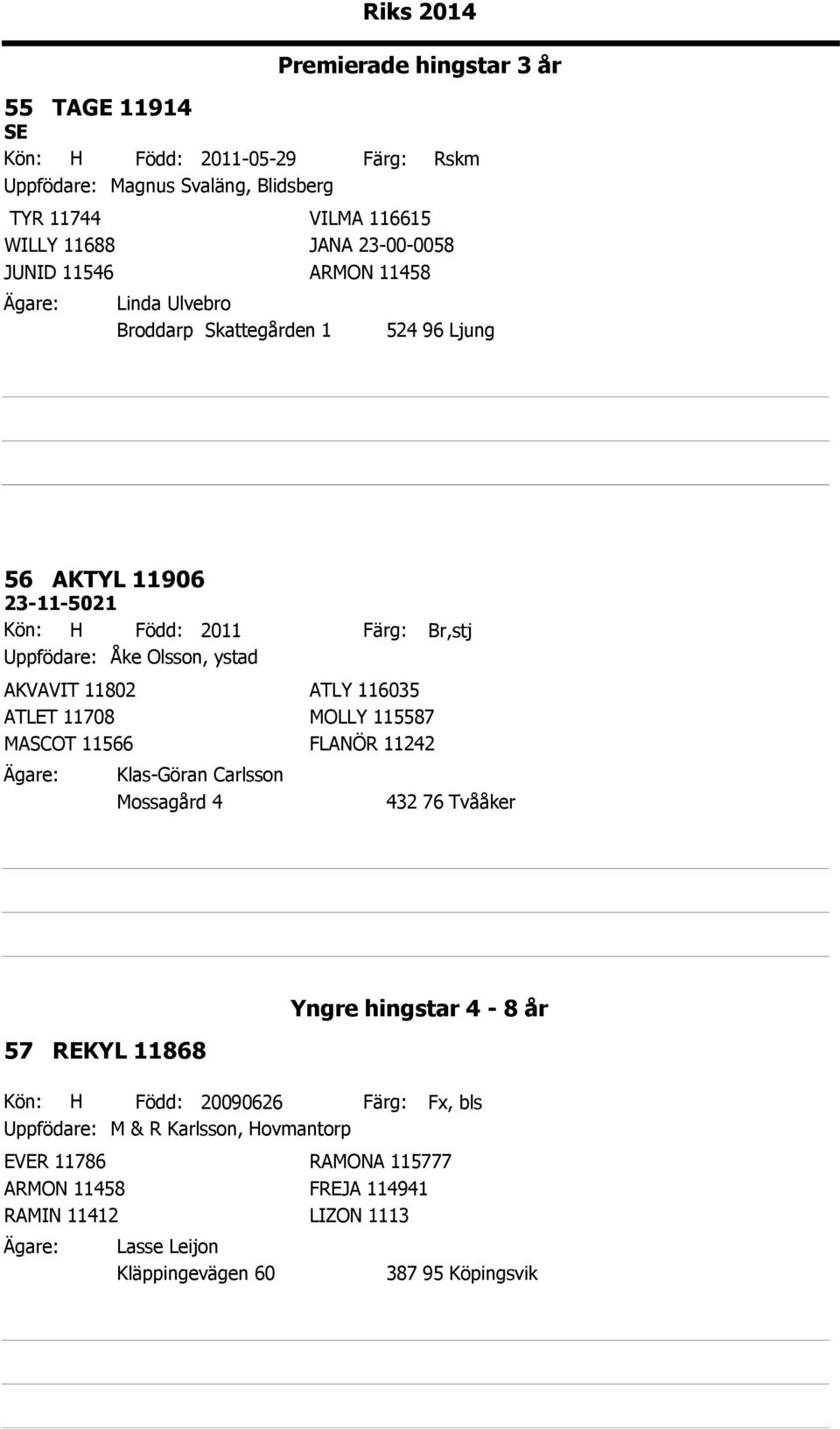 ATLY 116035 ATLET 11708 MOLLY 115587 MASCOT 11566 FLANÖR 11242 Klas-Göran Carlsson Mossagård 4 Br,stj Yngre hingstar 4-8 år 57 REKYL 11868 Kön: H Född: 20090626