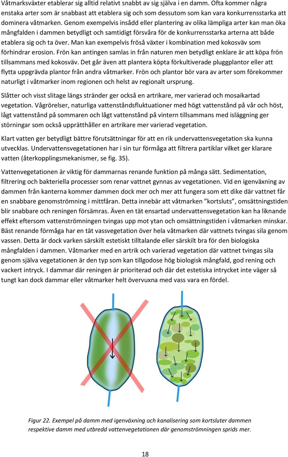 Genom exempelvis insådd eller plantering av olika lämpliga arter kan man öka mångfalden i dammen betydligt och samtidigt försvåra för de konkurrensstarka arterna att både etablera sig och ta över.