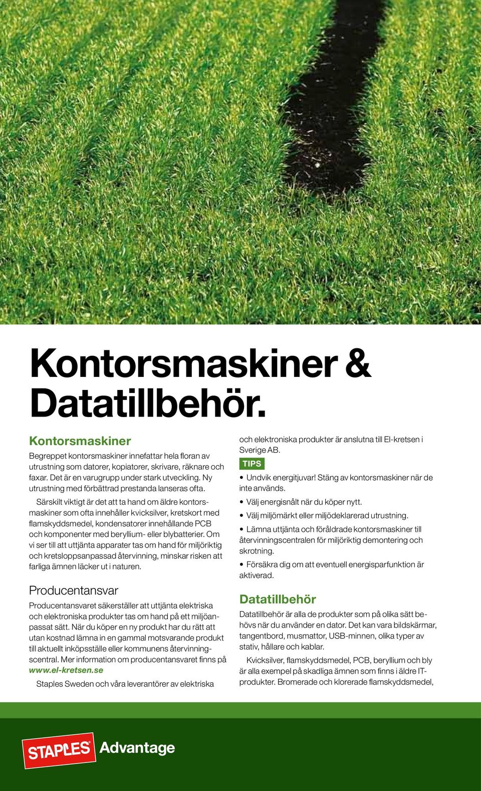 Särskilt viktigt är det att ta hand om äldre kontorsmaskiner som ofta innehåller kvicksilver, kretskort med flamskyddsmedel, kondensatorer innehållande PCB och komponenter med beryllium- eller