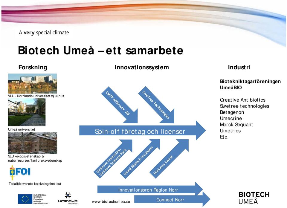 universitetssjukhus Umeå universitet Spin-off företag och licenser Creative Antibiotics Swetree