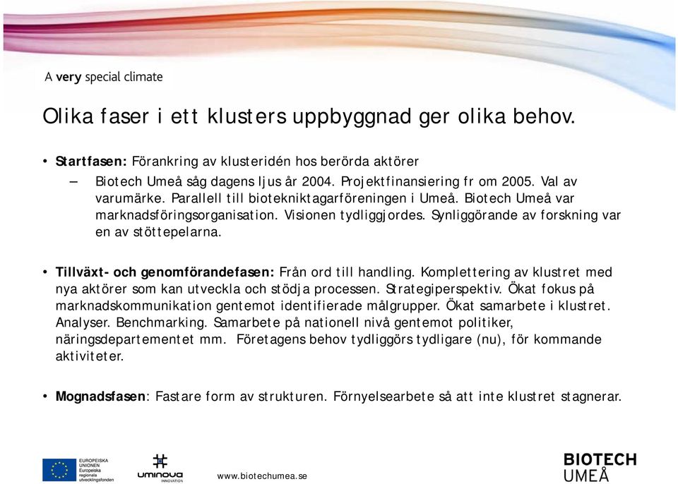 Tillväxt- och genomförandefasen: Från ord till handling. Komplettering av klustret med nya aktörer som kan utveckla och stödja processen. Strategiperspektiv.