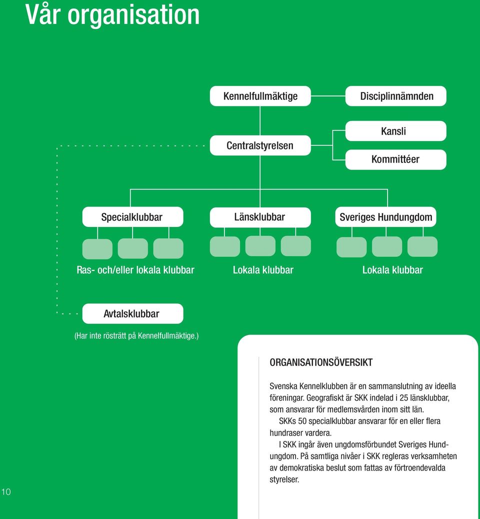 ) ORGANISATIONSÖVERSIKT 10 Svenska Kennelklubben är en sammanslutning av ideella föreningar.