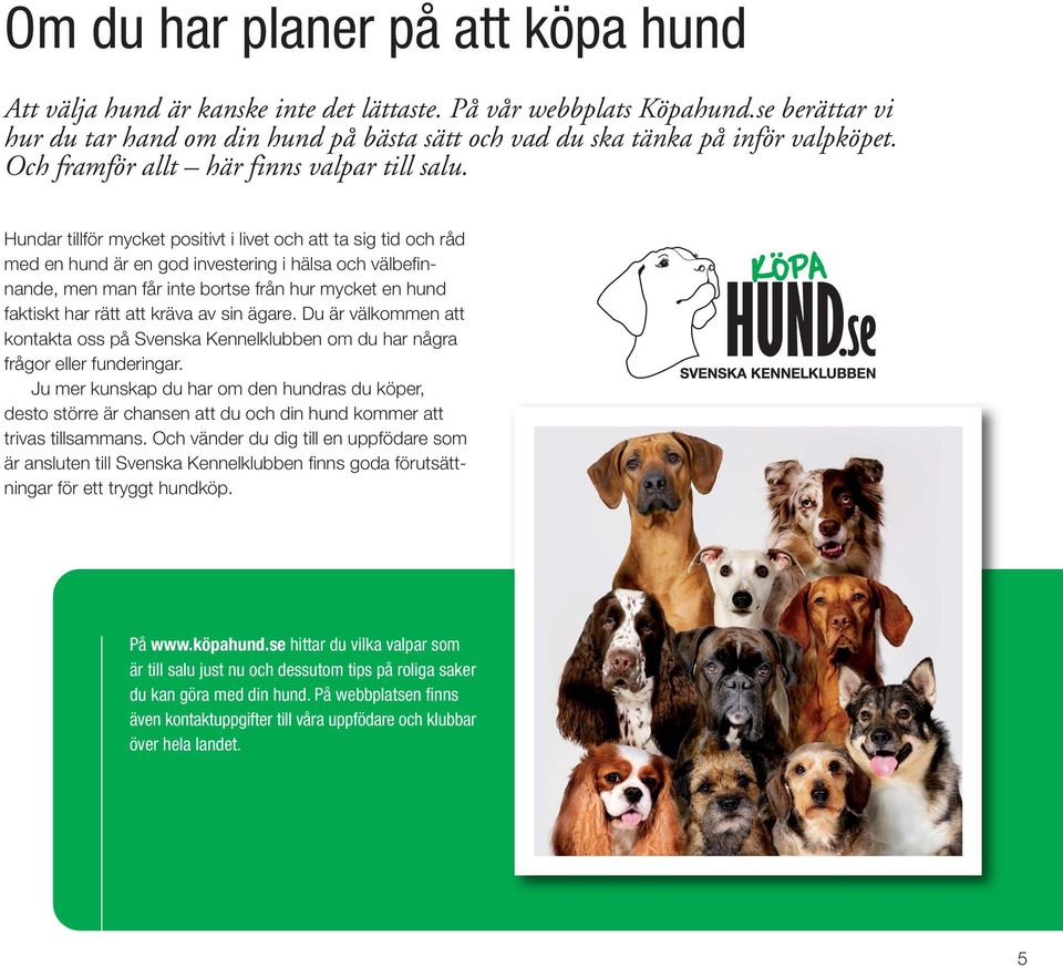 Hundar tillför mycket positivt i livet och att ta sig tid och råd med en hund är en god investering i hälsa och välbefinnande, men man får inte bortse från hur mycket en hund faktiskt har rätt att