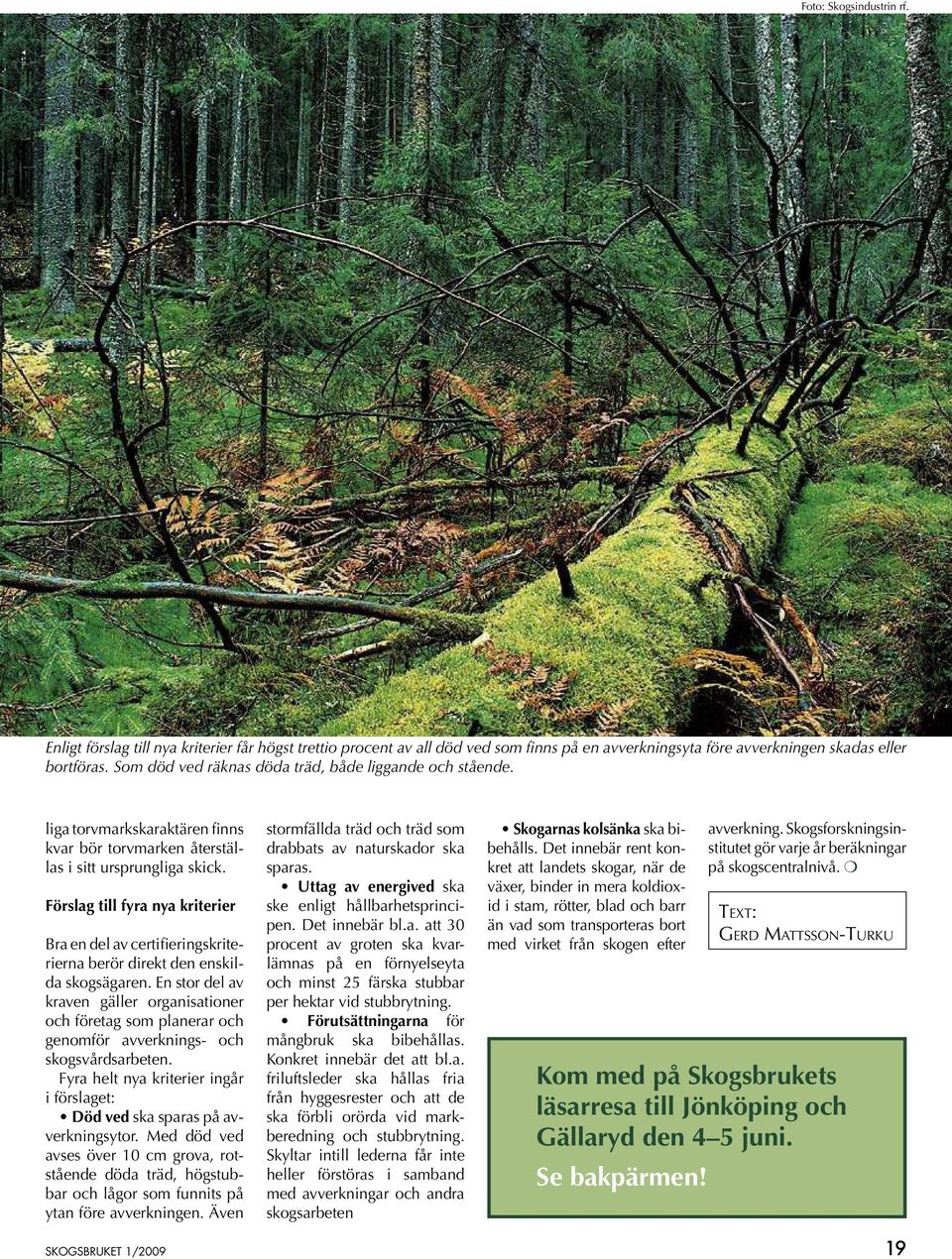 Förslag till fyra nya kriterier Bra en del av certifieringskriterierna berör direkt den enskilda skogsägaren.