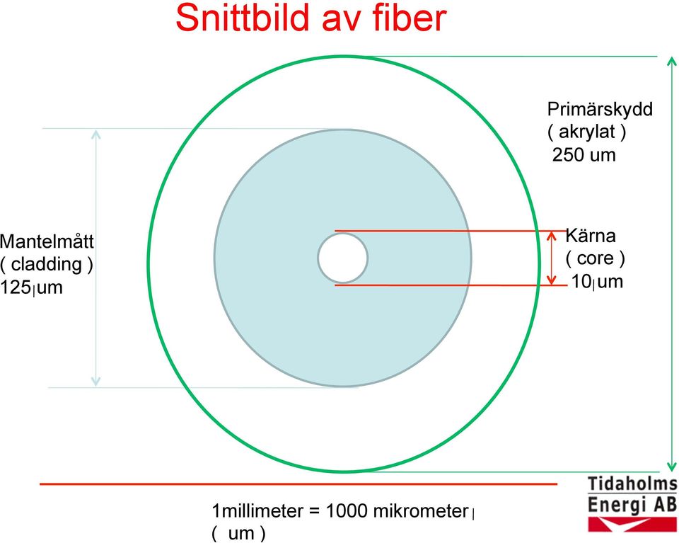 cladding ) 125 um Kärna ( core )