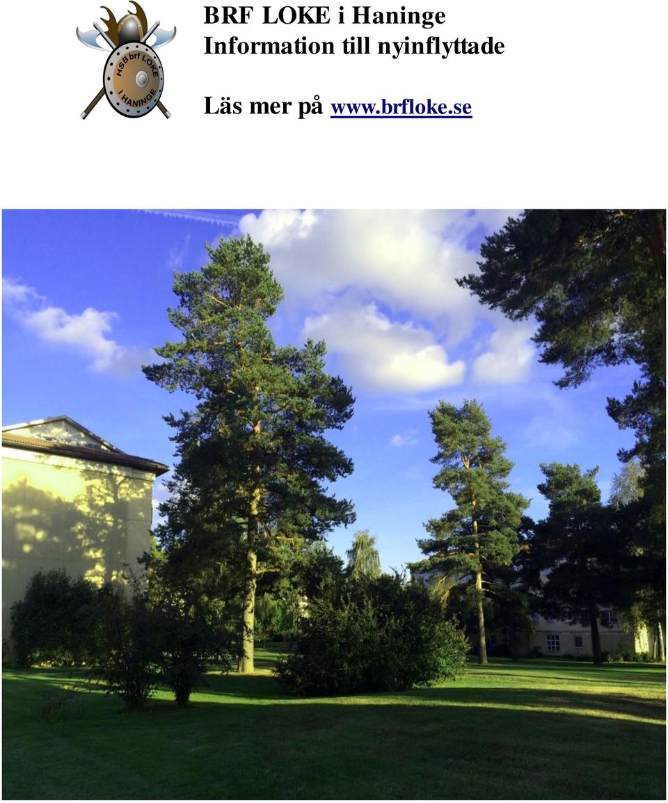 nyinflyttade Läs