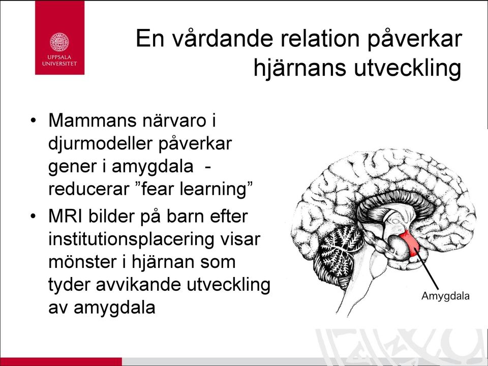 fear learning MRI bilder på barn efter institutionsplacering