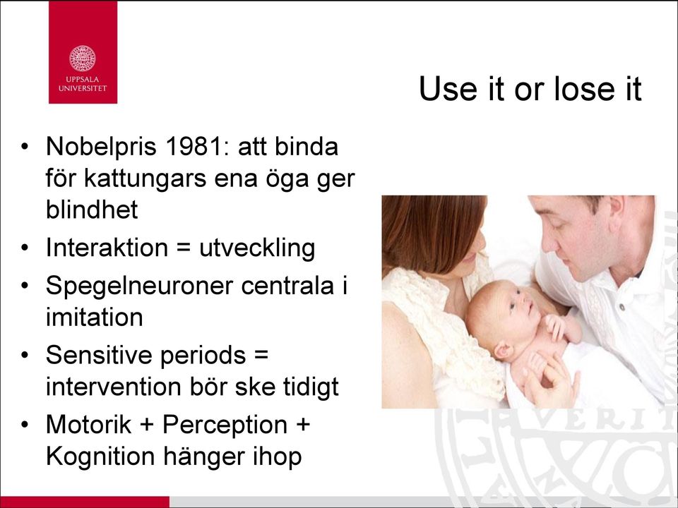 Spegelneuroner centrala i imitation Sensitive periods =