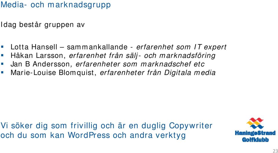 erfarenheter som marknadschef etc Marie-Louise Blomquist, erfarenheter från Digitala media