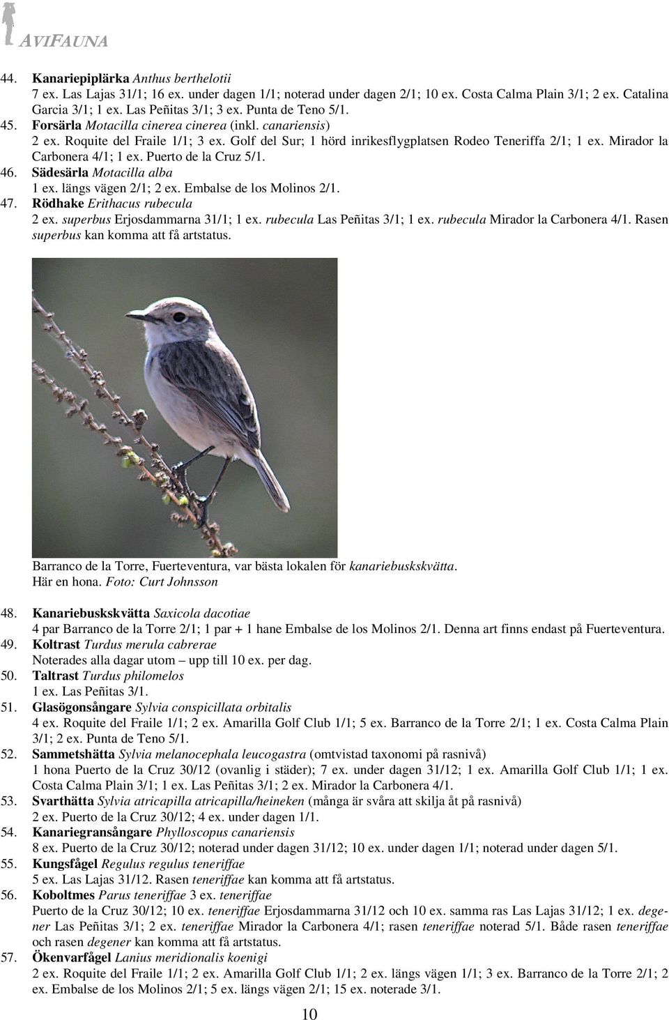 Mirador la Carbonera 4/1; 1 ex. Puerto de la Cruz 5/1. 46. Sädesärla Motacilla alba 1 ex. längs vägen 2/1; 2 ex. Embalse de los Molinos 2/1. 47. Rödhake Erithacus rubecula 2 ex.