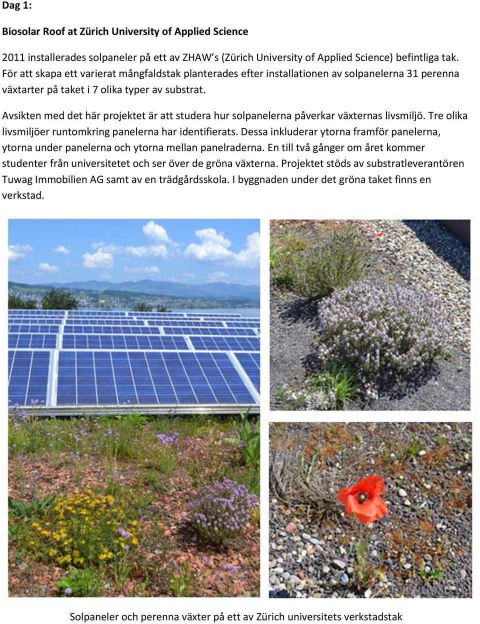 Avsikten med det här projektet är att studera hur solpanelerna påverkar växternas livsmiljö. Tre olika livsmiljöer runtomkring panelerna har identifierats.