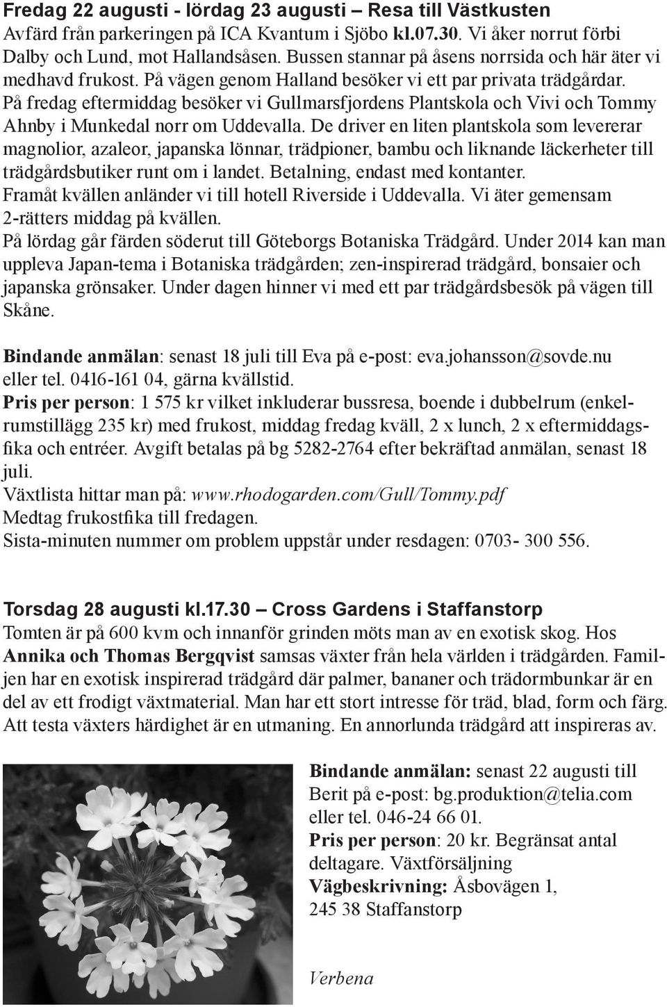 På fredag eftermiddag besöker vi Gullmarsfjordens Plantskola och Vivi och Tommy Ahnby i Munkedal norr om Uddevalla.