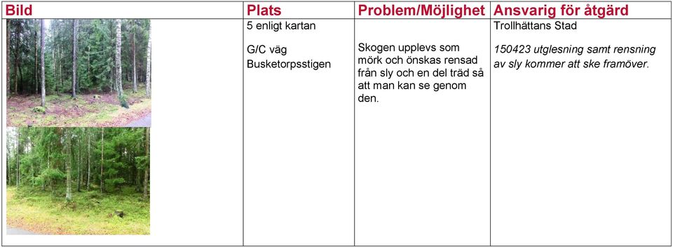 en del träd så att man kan se genom den.