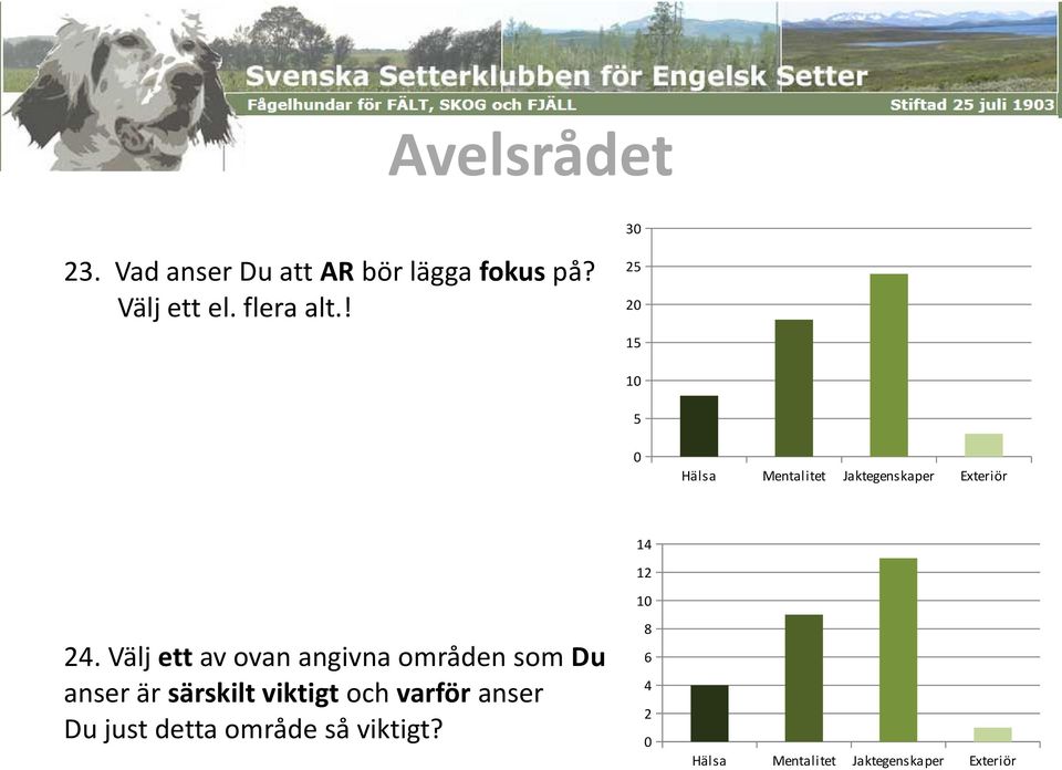 Välj ett av ovan angivna områden som Du anser är särskilt viktigt och