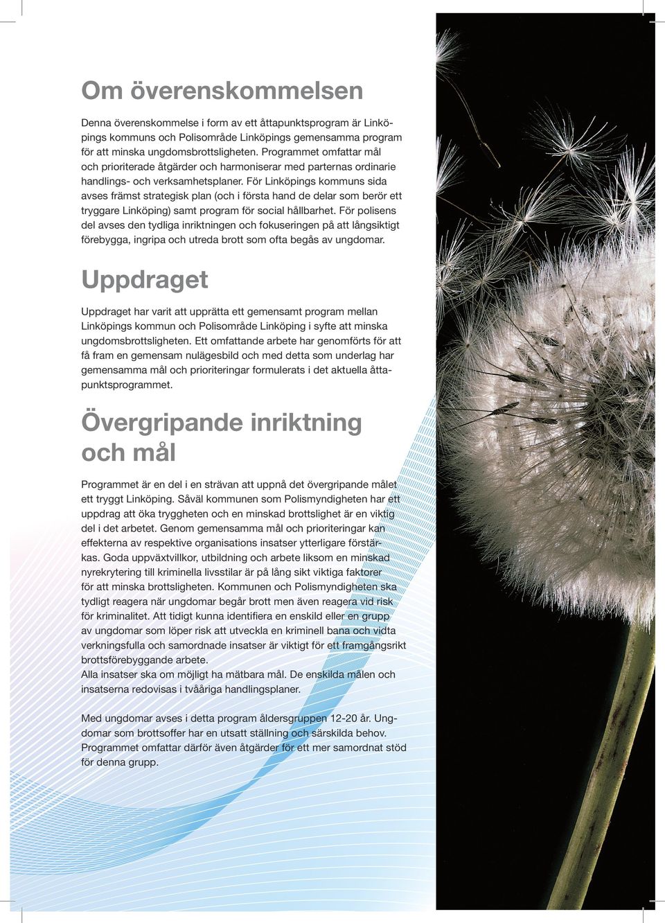 För Linköpings kommuns sida avses främst strategisk plan (och i första hand de delar som berör ett tryggare Linköping) samt program för social hållbarhet.