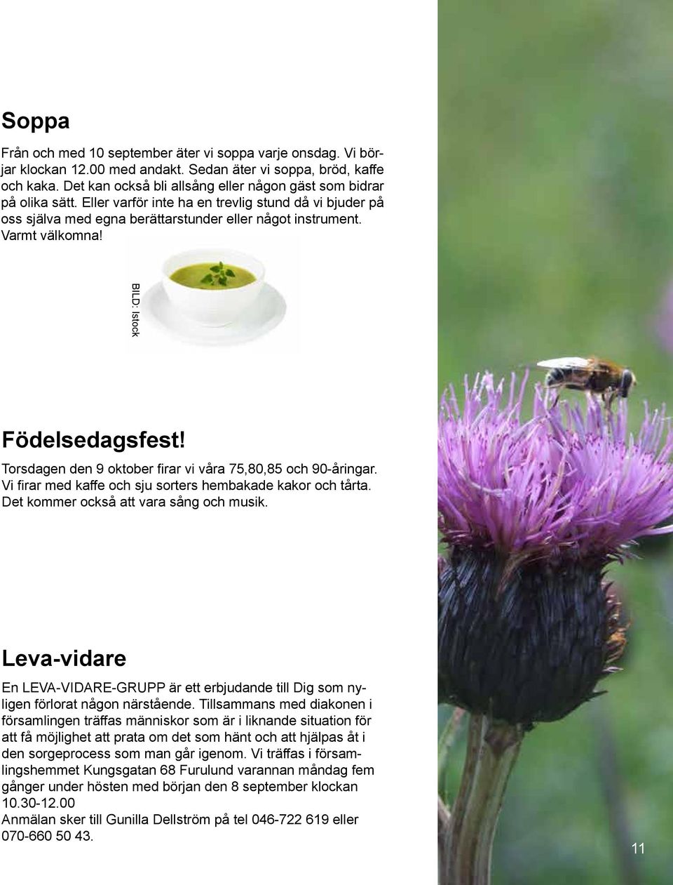 BILD: Istock Födelsedagsfest! Torsdagen den 9 oktober firar vi våra 75,80,85 och 90-åringar. Vi firar med kaffe och sju sorters hembakade kakor och tårta. Det kommer också att vara sång och musik.