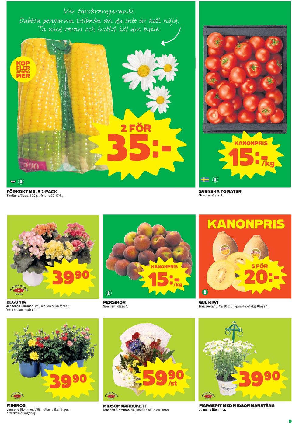 Ytterkrukor ingår ej. PERSIKOR Spanien. Klass 1. GUL KIWI Nya Zeeland. Ca 90 g. Jfr-pris 44:44/kg. Klass 1. 39)= 59)= S 39)= MINIROS Jensens Blommor.