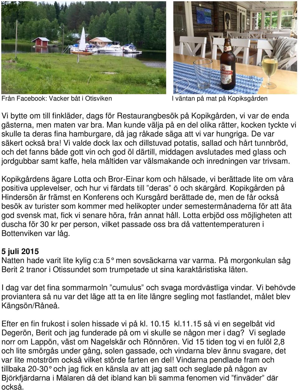 Vi valde dock lax och dillstuvad potatis, sallad och hårt tunnbröd, och det fanns både gott vin och god öl därtill, middagen avslutades med glass och jordgubbar samt kaffe, hela måltiden var