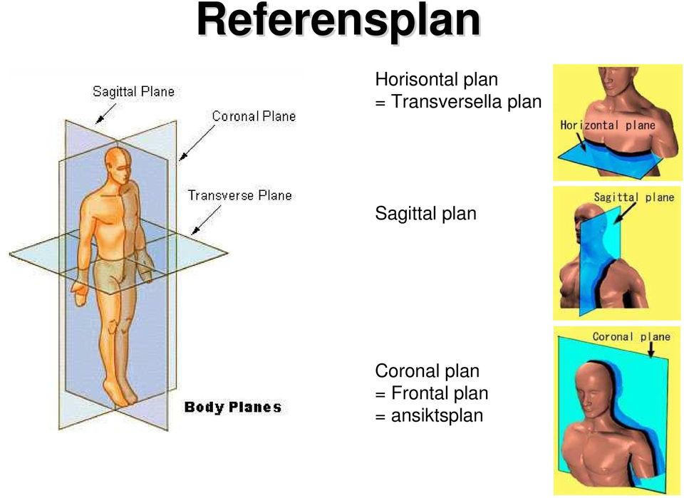 Sagittal plan Coronal plan