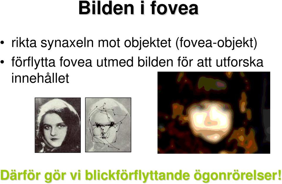 för att utforska innehållet Därför r gör g