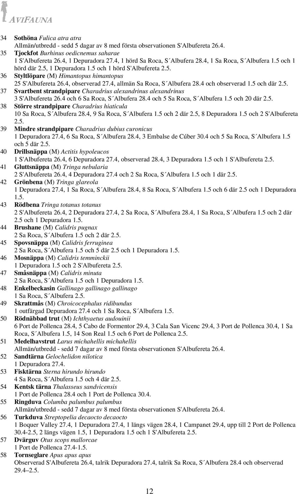 4, observerad 27.4, allmän Sa Roca, S Albufera 28.4 och observerad 1.5 och där 2.5. 37 Svartbent strandpipare Charadrius alexandrinus alexandrinus 3 S'Albufereta 26.4 och 6 Sa Roca, S Albufera 28.