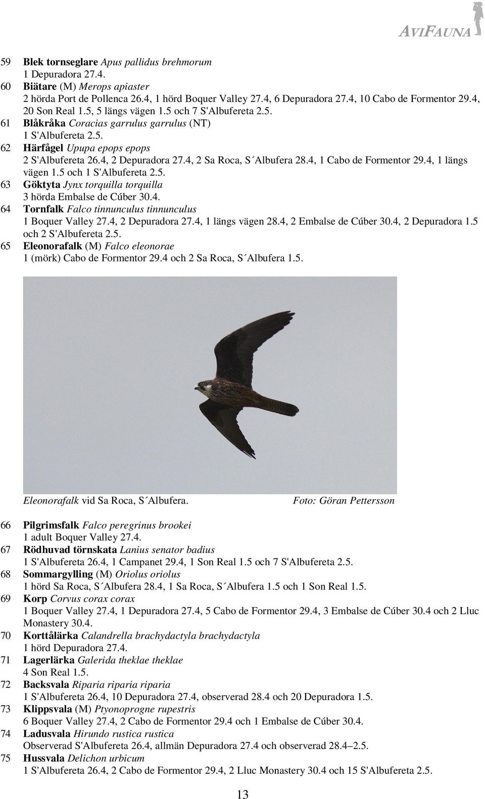 4, 2 Sa Roca, S Albufera 28.4, 1 Cabo de Formentor 29.4, 1 längs vägen 1.5 och 1 S'Albufereta 2.5. 63 Göktyta Jynx torquilla torquilla 3 hörda Embalse de Cúber 30.4. 64 Tornfalk Falco tinnunculus tinnunculus 1 Boquer Valley 27.