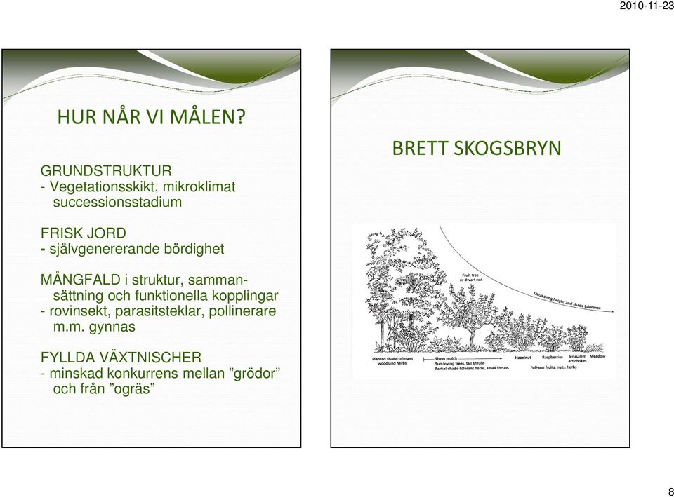 FRISK JORD - självgenererande bördighet MÅNGFALD i struktur, sammansättning och