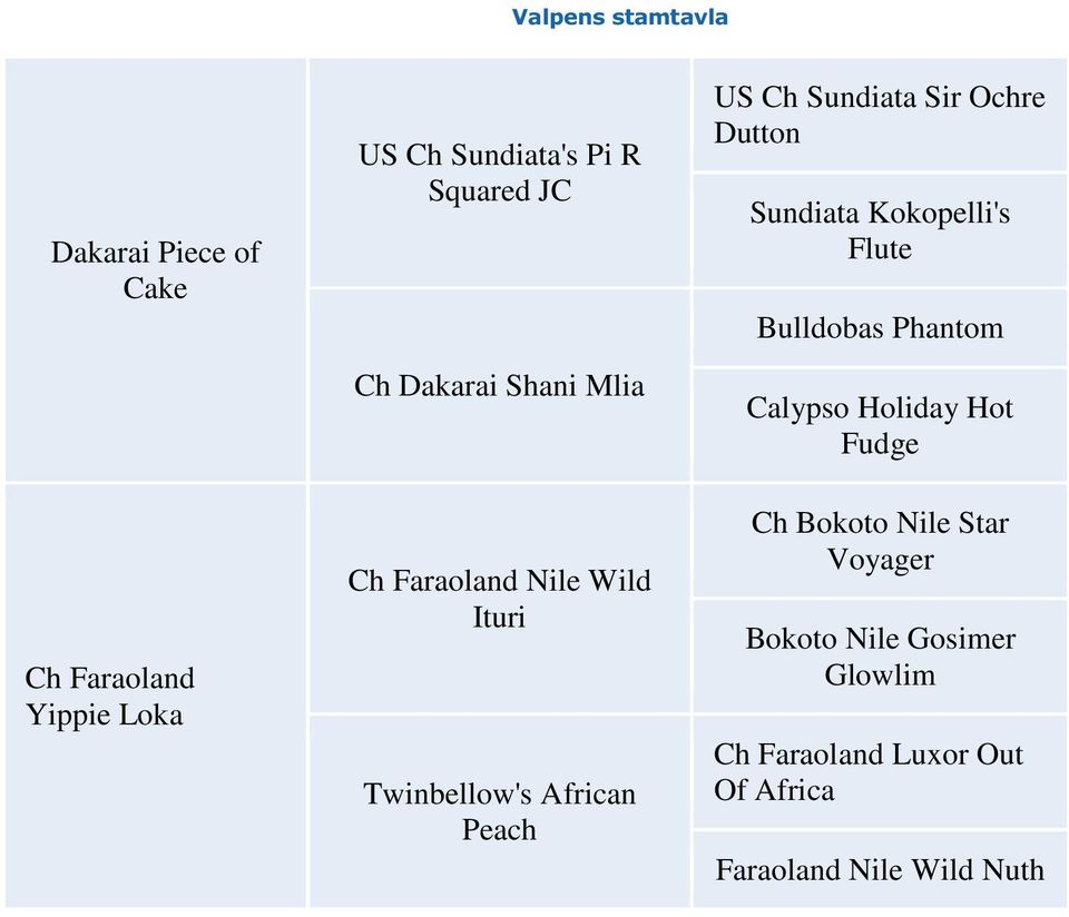 Ochre Dutton Sundiata Kokopelli's Flute Bulldobas Phantom Calypso Holiday Hot Fudge Ch Bokoto