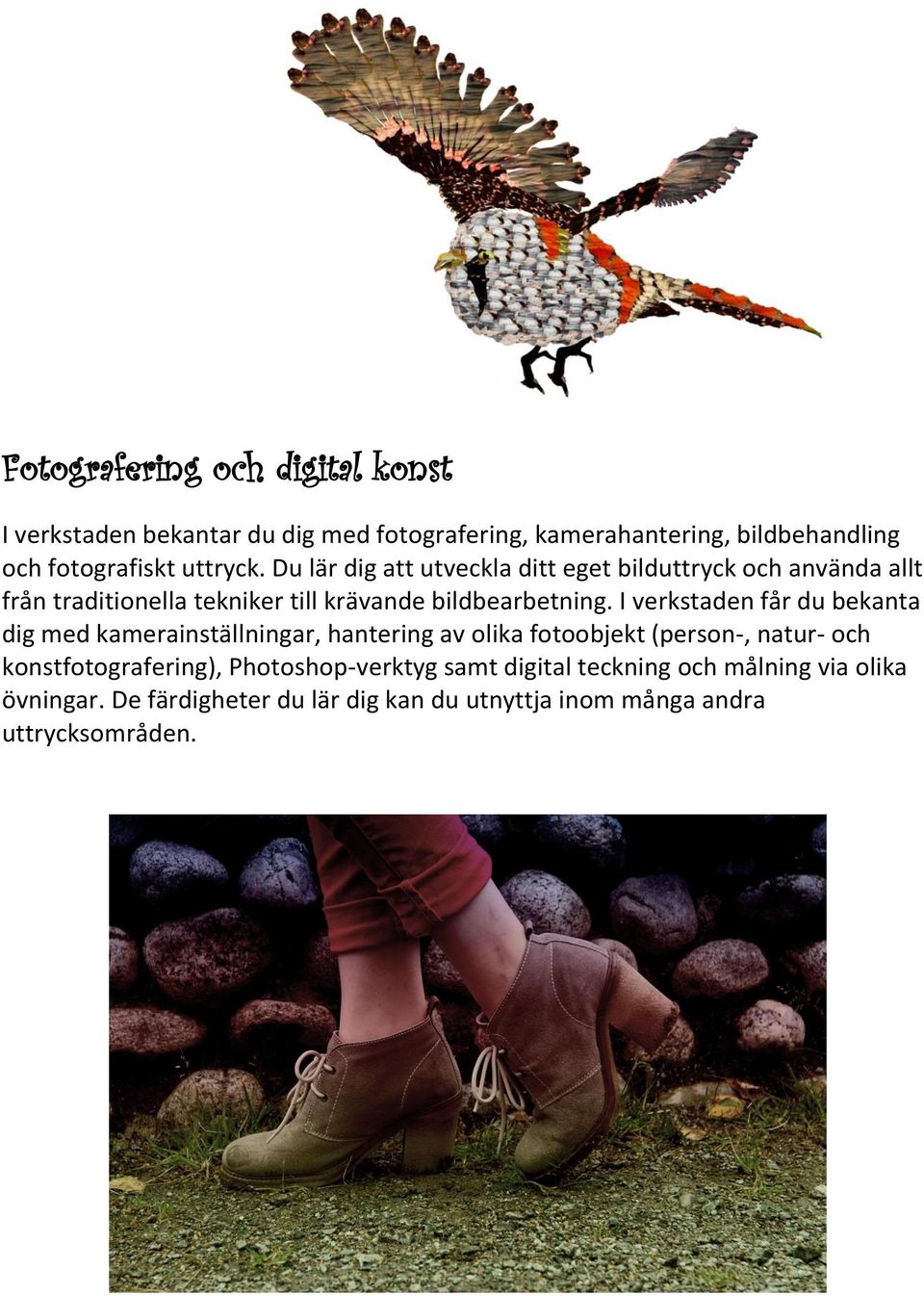 I verkstaden får du bekanta dig med kamerainställningar, hantering av olika fotoobjekt (person-, natur- och konstfotografering),