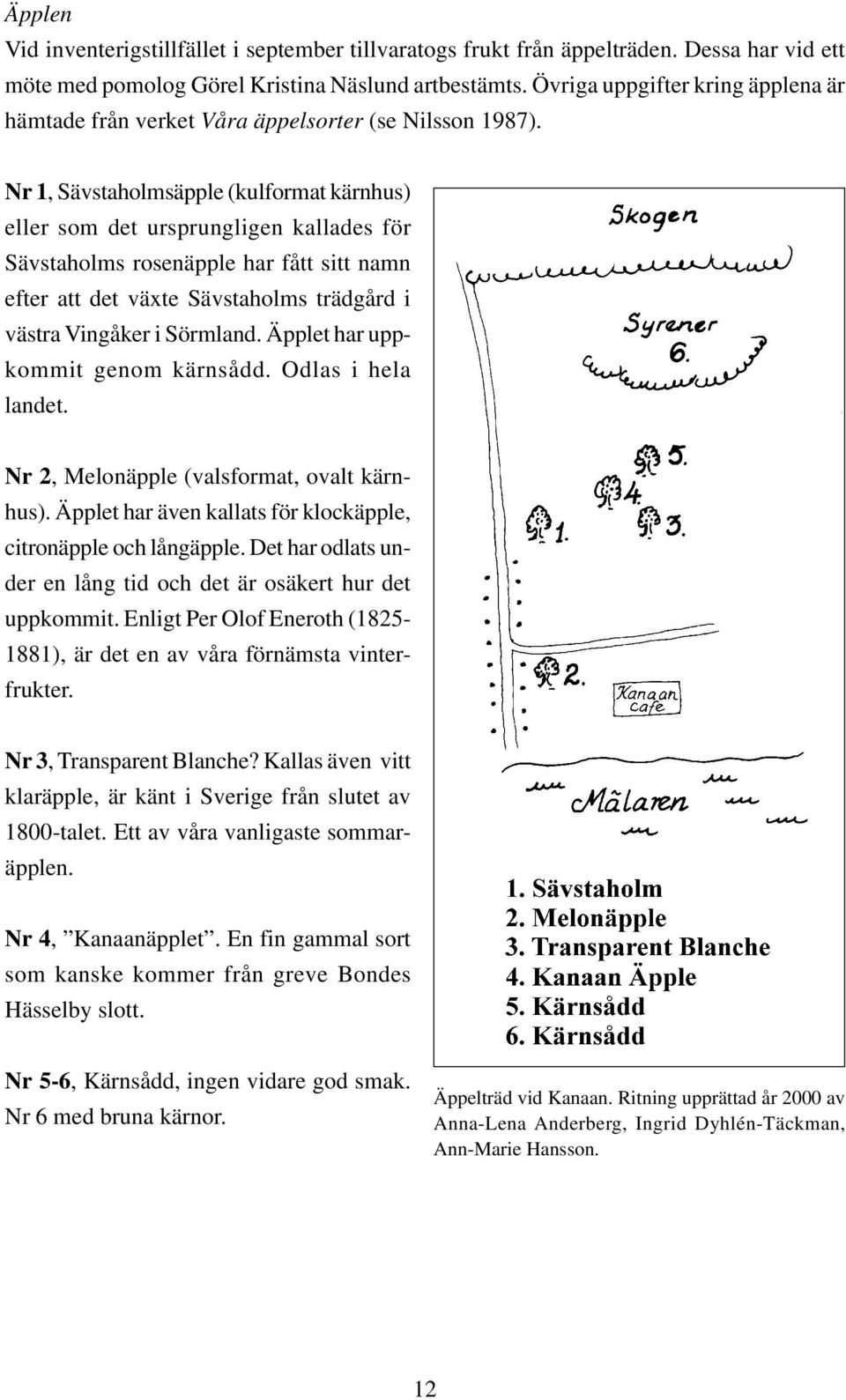 Nr 1, Sävstaholmsäpple (kulformat kärnhus) eller som det ursprungligen kallades för Sävstaholms rosenäpple har fått sitt namn efter att det växte Sävstaholms trädgård i västra Vingåker i Sörmland.