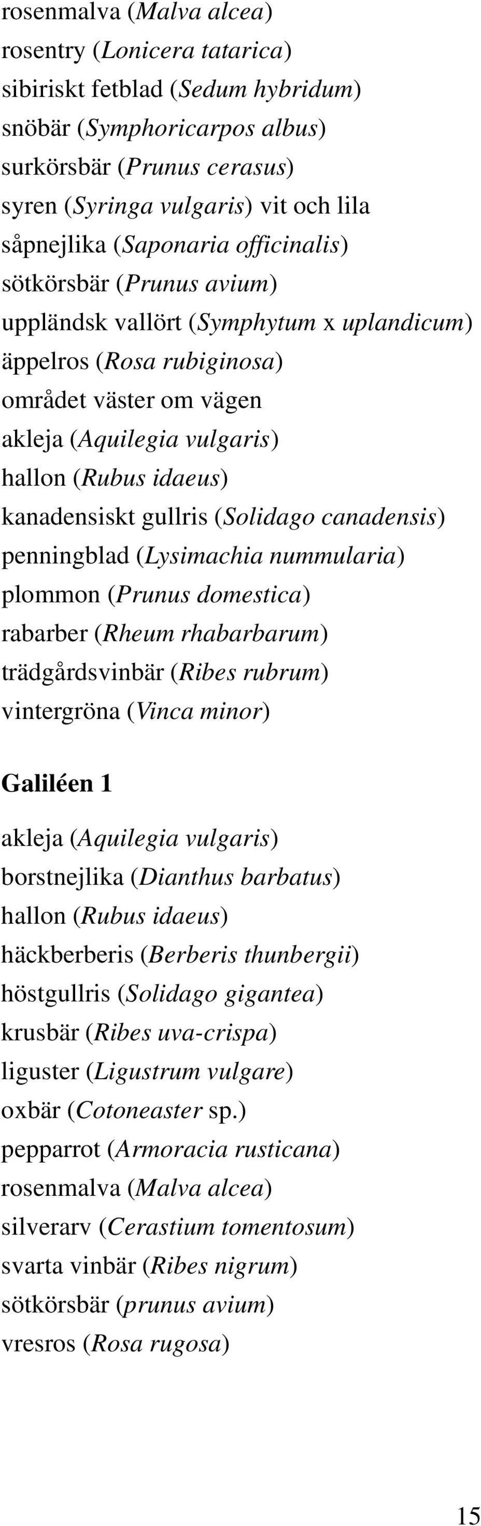 kanadensiskt gullris (Solidago canadensis) penningblad (Lysimachia nummularia) plommon (Prunus domestica) rabarber (Rheum rhabarbarum) trädgårdsvinbär (Ribes rubrum) vintergröna (Vinca minor)