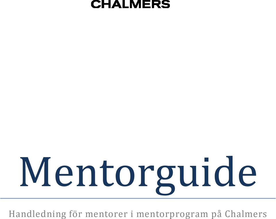 mentorer i