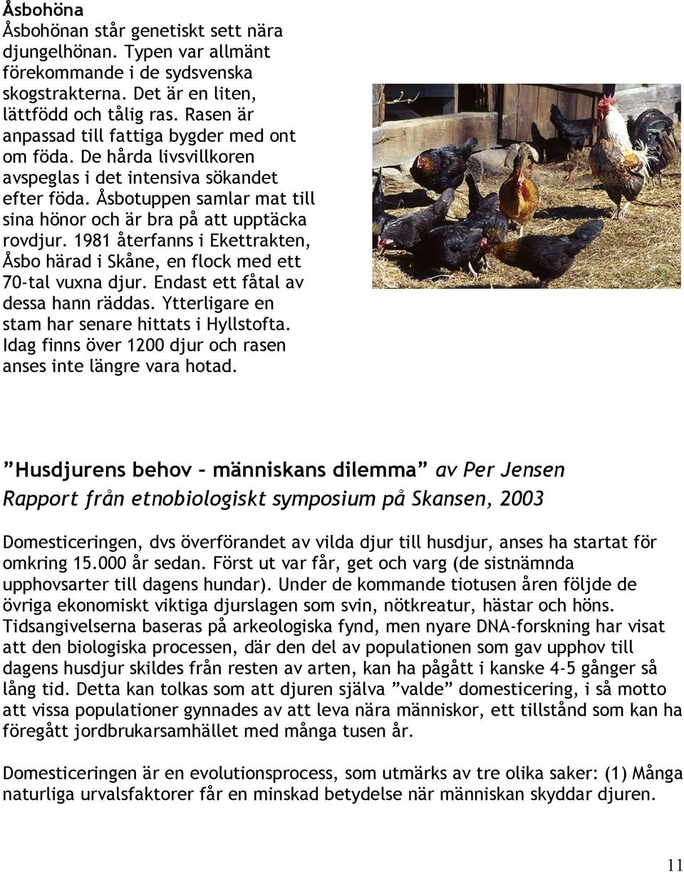 1981 återfanns i Ekettrakten, Åsbo härad i Skåne, en flock med ett 70-tal vuxna djur. Endast ett fåtal av dessa hann räddas. Ytterligare en stam har senare hittats i Hyllstofta.