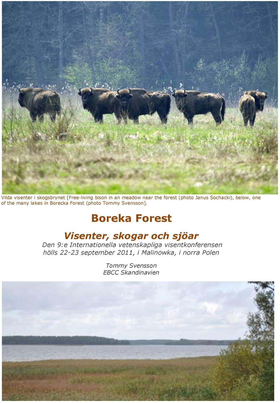 Boreka Forest Visenter, skogar och sjöar Den 9:e Internationella vetenskapliga