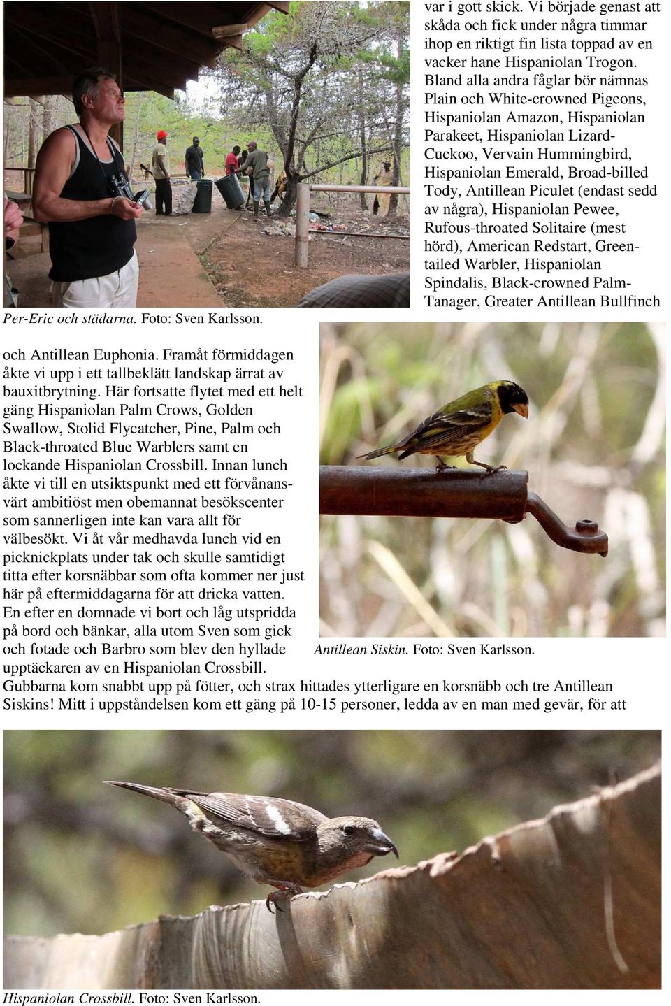 Antillean Piculet (endast sedd av några), Hispaniolan Pewee, Rufous-throated Solitaire (mest hörd), American Redstart, Greentailed Warbler, Hispaniolan Spindalis, Black-crowned Palm- Tanager, Greater