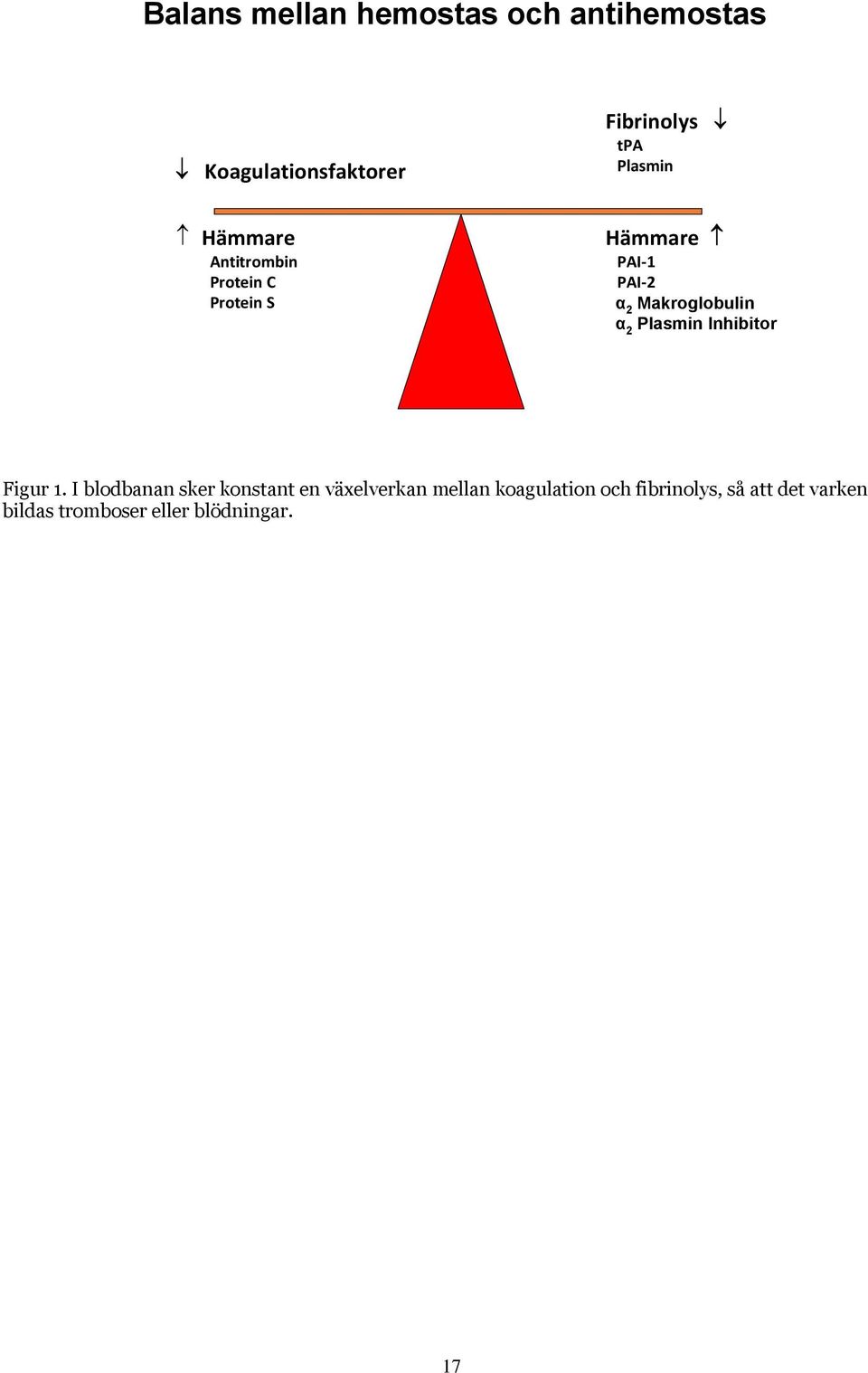 α 2 Plasmin Inhibitor Figur 1.