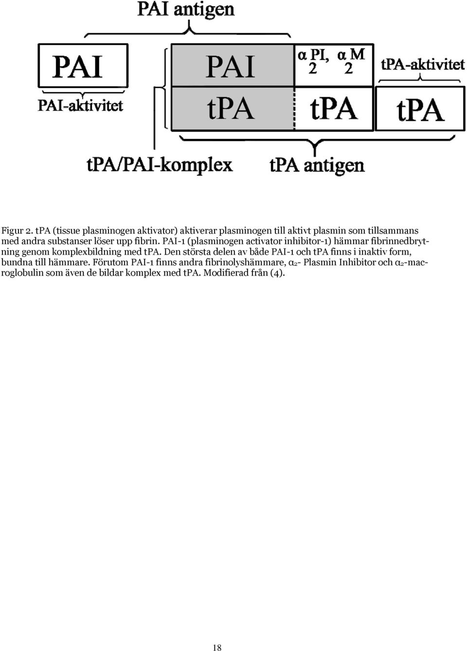 löser upp fibrin. PAI-1 (plasminogen activator inhibitor-1) hämmar fibrinnedbrytning genom komplexbildning med tpa.
