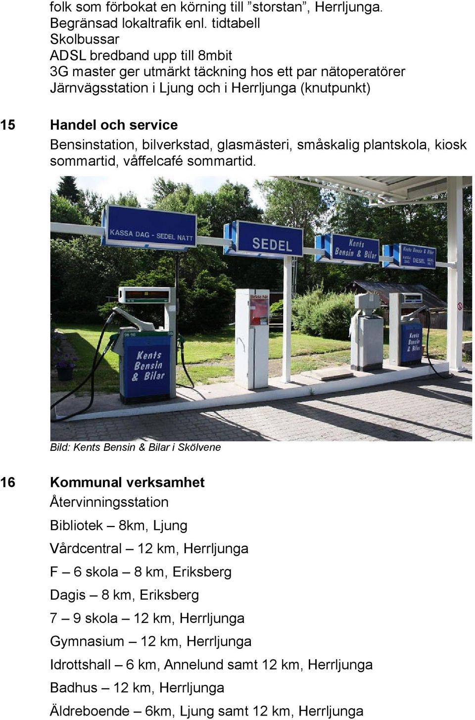 service Bensinstation, bilverkstad, glasmästeri, småskalig plantskola, kiosk sommartid, våffelcafé sommartid.