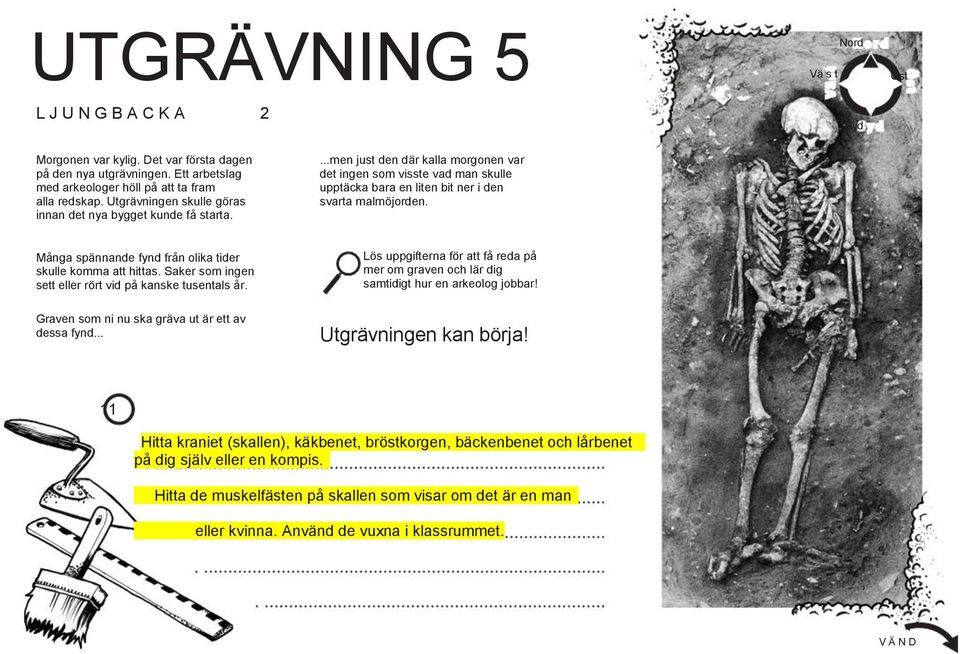 Många spännande fynd från olika tider skulle komma att hittas. Saker som ingen sett eller rört vid på kanske tusentals år.