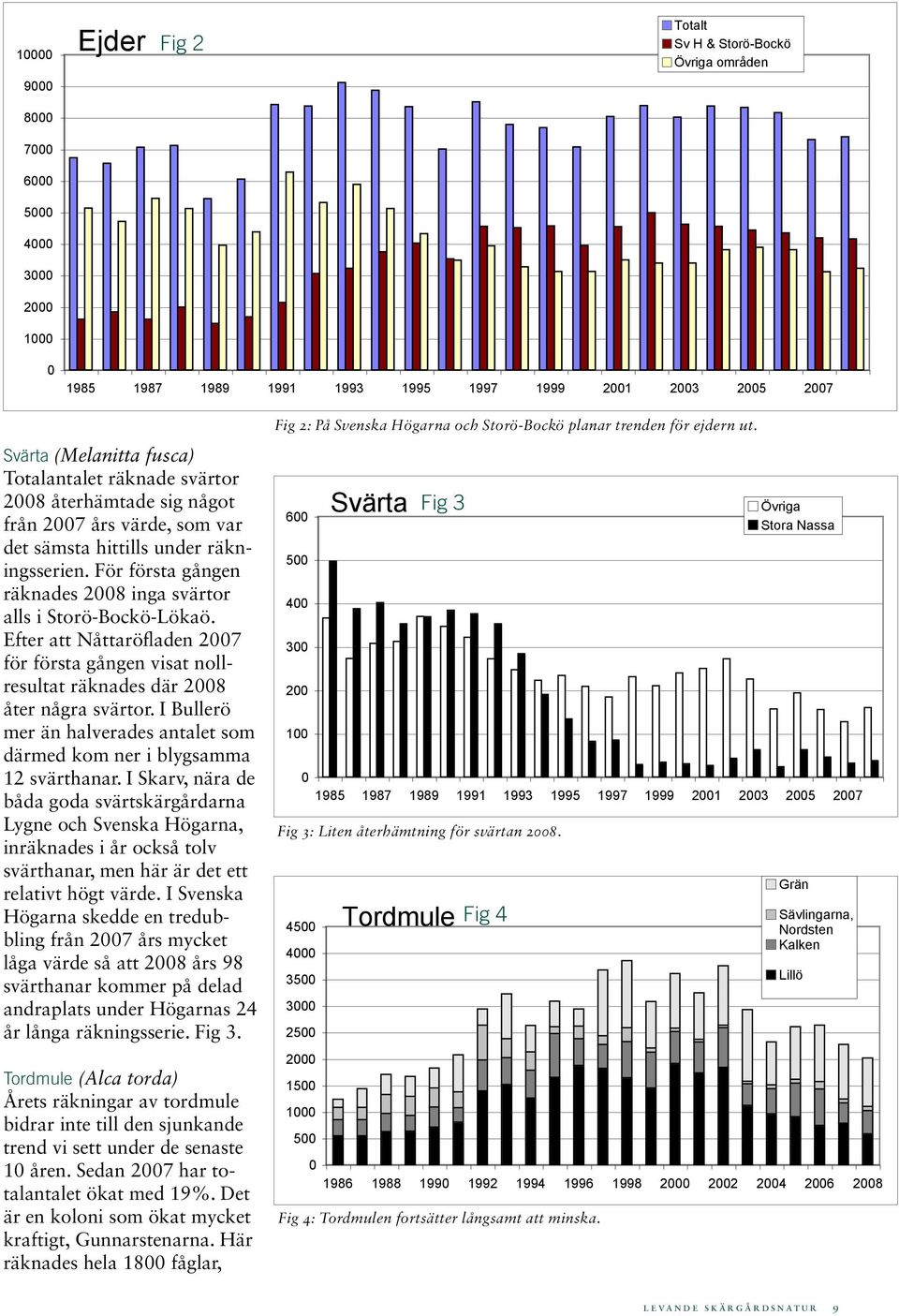 Efter att Nåttaröfladen 2007 för första gången visat nollresultat räknades där 2008 åter några svärtor. I Bullerö mer än halverades antalet som därmed kom ner i blygsamma 12 svärthanar.