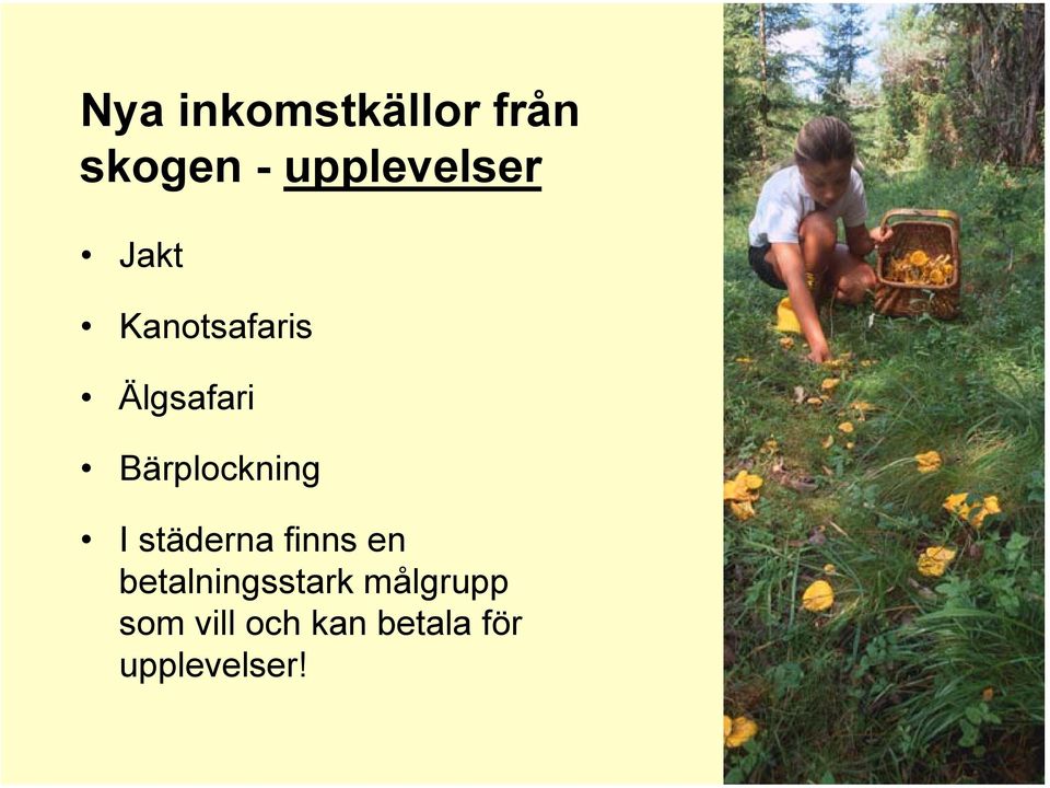 Bärplockning I städerna finns en