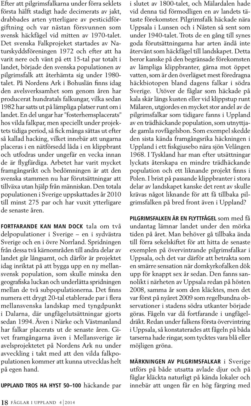Det svenska Falkprojeket startades av Naturskyddsföreningen 1972 och efter att ha varit nere och vänt på ett 15-tal par totalt i landet, började den svenska populationen av pilgrimsfalk att återhämta