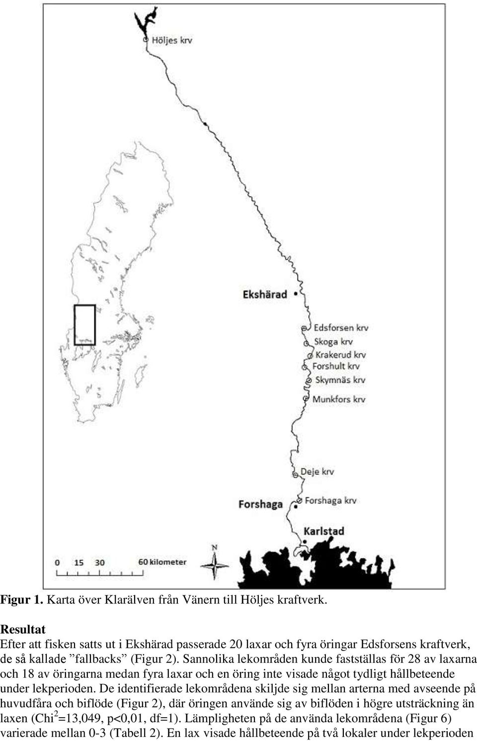 Sannolika lekområden kunde fastställas för 28 av laxarna och 18 av öringarna medan fyra laxar och en öring inte visade något tydligt hållbeteende under lekperioden.