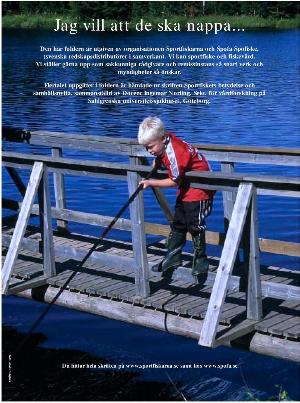 Vi kan sportfiske och fiskevård. Vi ställer gärna upp som sakkunniga rådgivare och remissinstans så snart verk och myndigheter så önskar.
