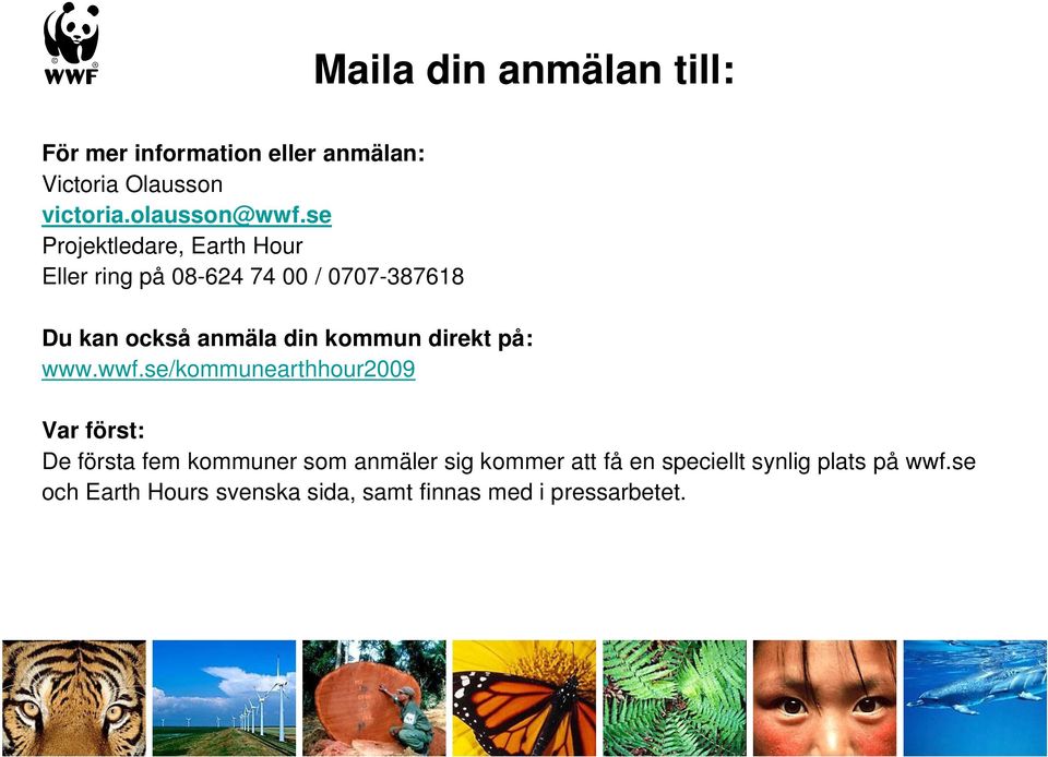 direkt på: www.wwf.