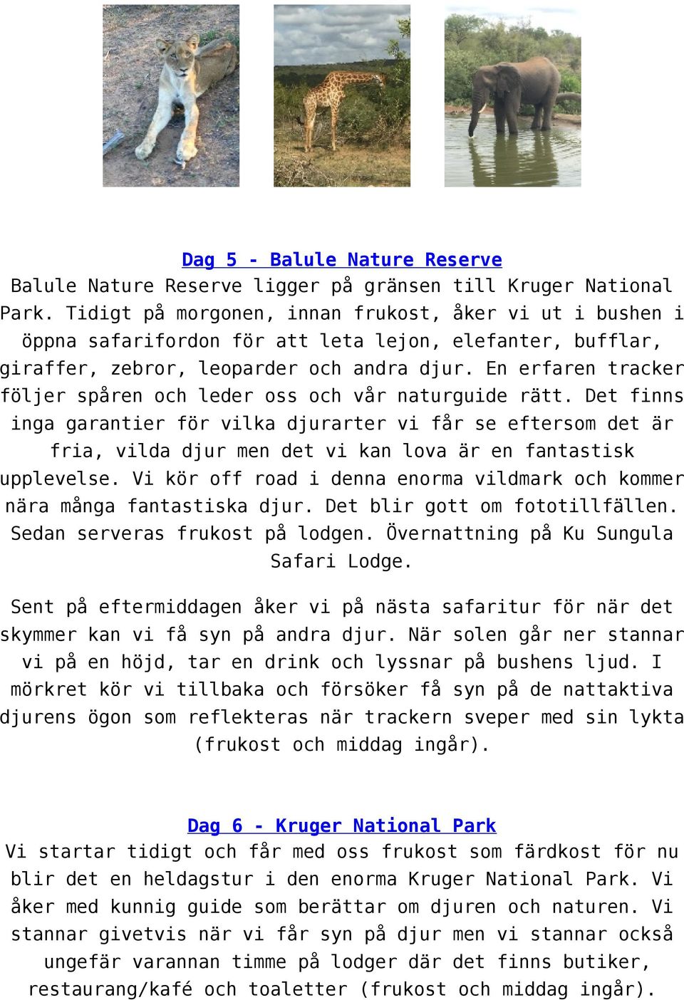 En erfaren tracker följer spåren och leder oss och vår naturguide rätt.